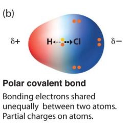 Properties of covalent bonds pogil