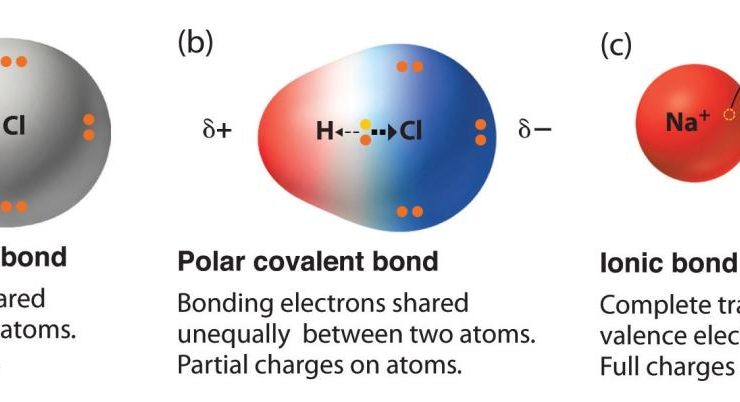 Properties of covalent bonds pogil