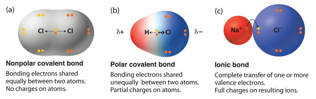 Properties of covalent bonds pogil