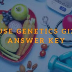 Mouse genetics gizmo answer key activity c