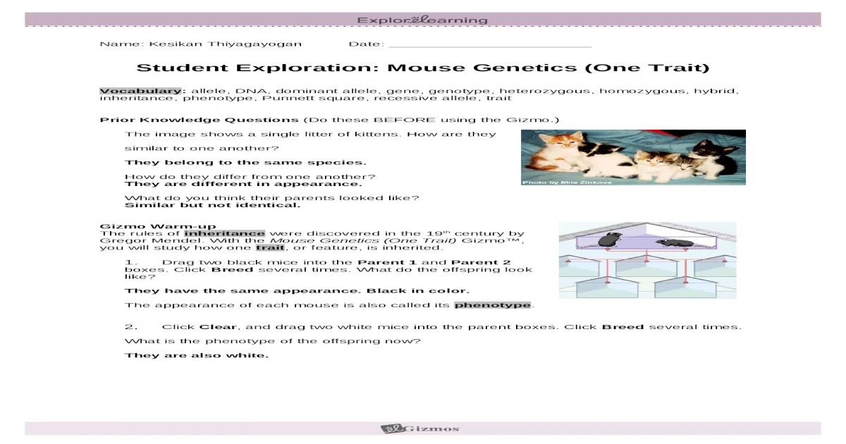 Mouse genetics gizmo answer key activity c