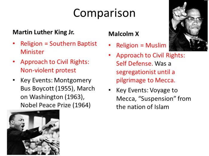 Mlk and malcolm x venn diagram