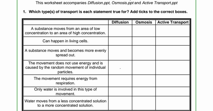 Active & passive transport worksheet