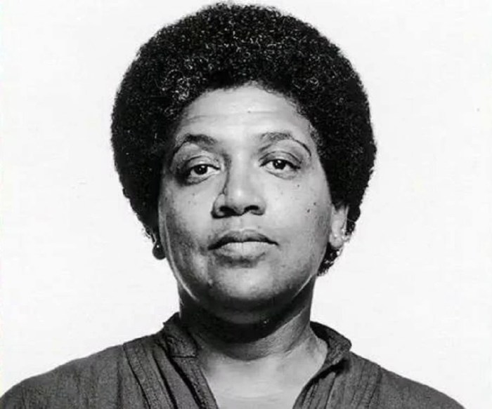 Audre lorde age race class