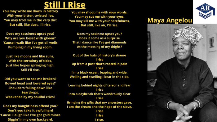 Analysis of woman work by maya angelou