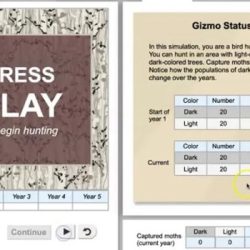 Gizmo forest ecosystem answers key