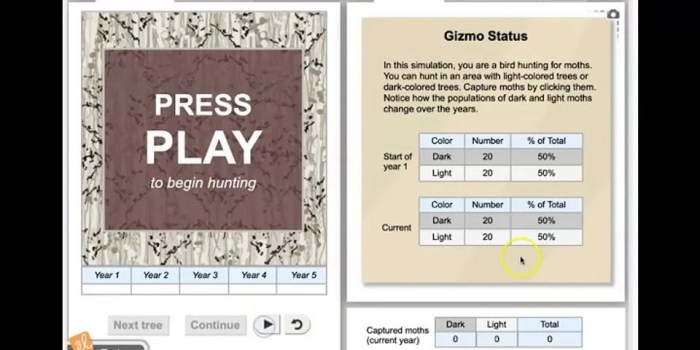 Gizmo forest ecosystem answers key