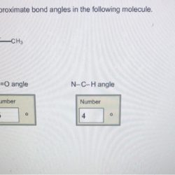 Bond angle approximate molecule predict