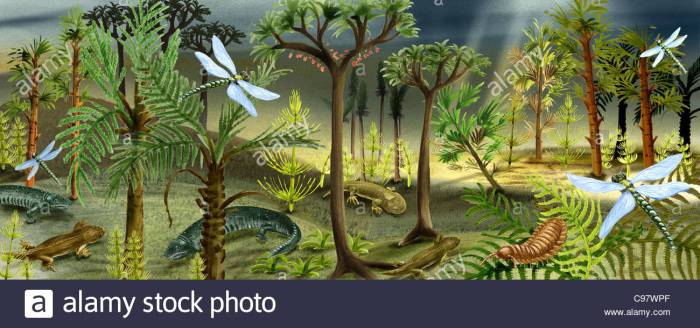 Carboniferous illustration period landscape coal era creatures islands animals ancients insects prehistoric paleozoic during forests extinct choose board