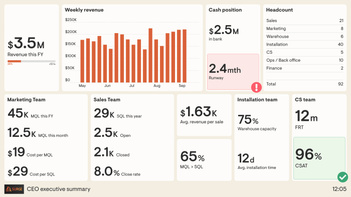 Executive summary dashboard for category management